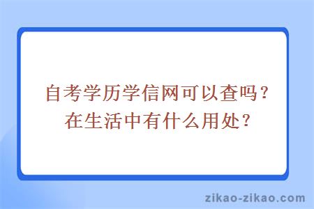 自考学历学信网可以查吗？在生活中有什么用处？