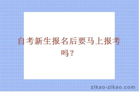 自考新生报名后要马上报考吗?