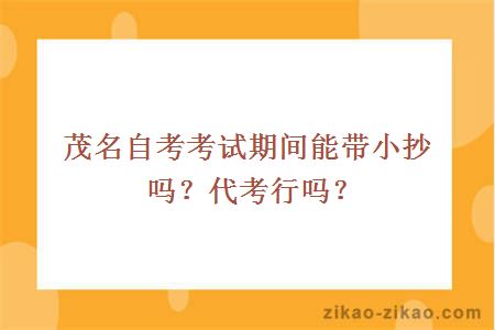 茂名自考考试期间能带小抄吗?代考行吗?