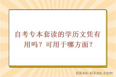 自考专本套读文凭