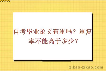 自考论文查重