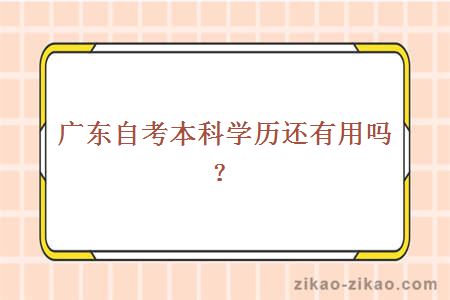 广东自考本科学历还有用吗？