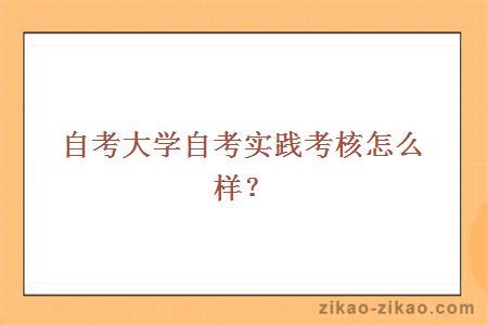 自考大学自考实践考核怎么样?