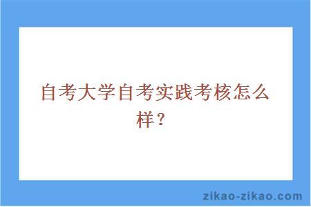自考大学自考实践考核怎么样?