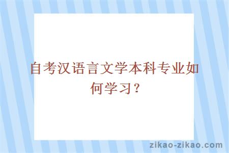 自考汉语言文学本科专业如何学习?