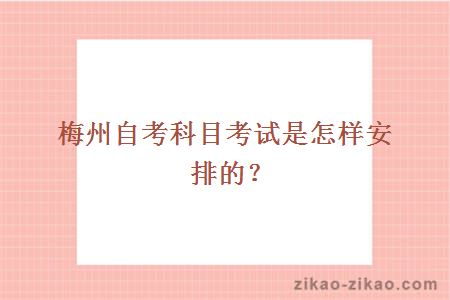 梅州自考科目考试是怎样安排的?