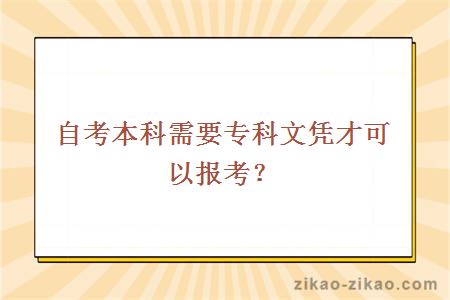 自考本科需要专科文凭才可以报考?