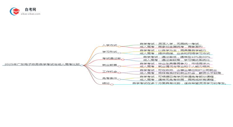 2025年广东电子政务专业自学考试与成人高考哪个好？思维导图