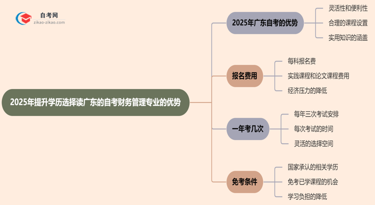 2025年提升学历选择读广东的自考财务管理专业有哪些优势?思维导图