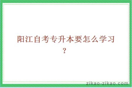 阳江自考专升本要怎么学习?
