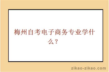 梅州自考电子商务专业学什么?