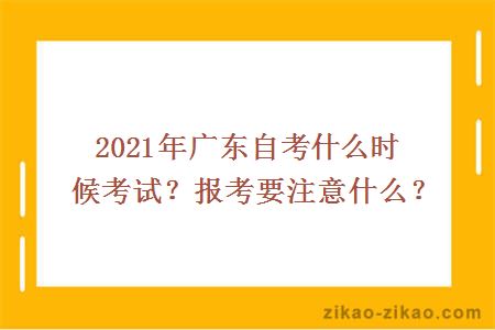 2021年广东自考什么时候考试?报考要注意什么?