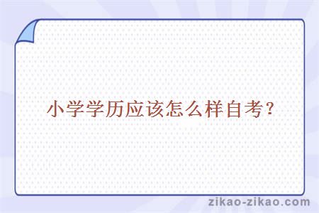 小学学历应该怎么样自考？