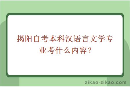 揭阳自考本科汉语言文学专业考什么内容?