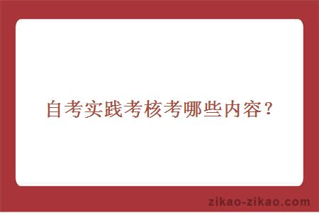 自考实践考核考哪些内容?