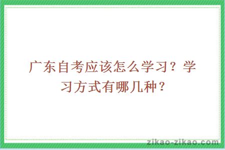 广东自考应该怎么学习?学习方式有哪几种?
