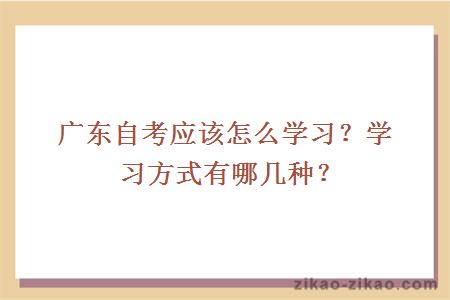 广东自考应该怎么学习?学习方式有哪几种?