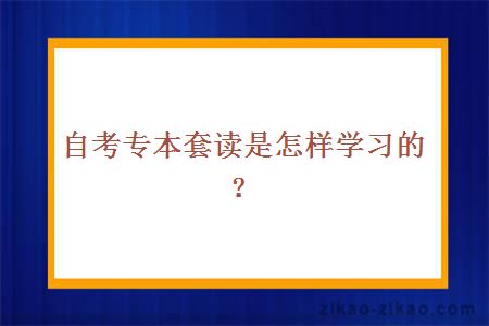 自考专本套读是怎样学习的?
