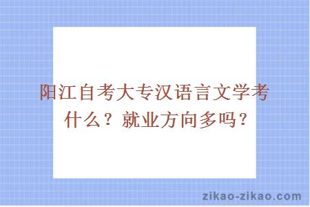阳江自考大专汉语言文学考什么?就业方向多吗?