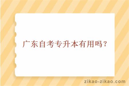 广东自考专升本有用吗?