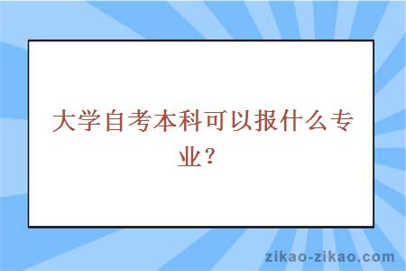 大学自考本科可以报什么专业?