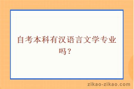 自考本科有汉语言文学专业吗？