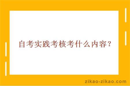 自考实践考核考什么内容?