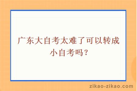 广东大自考太难了可以转成小自考吗?