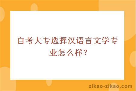 自考大专选择汉语言文学专业怎么样?
