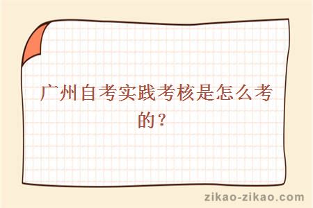 广州自考实践考核是怎么考的?