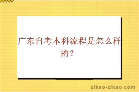 广东自考本科流程是怎么样的?