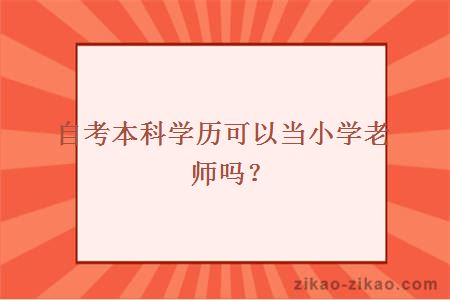 自考本科学历可以当小学老师吗？