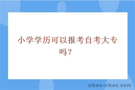 小学学历可以报考自考大专吗?