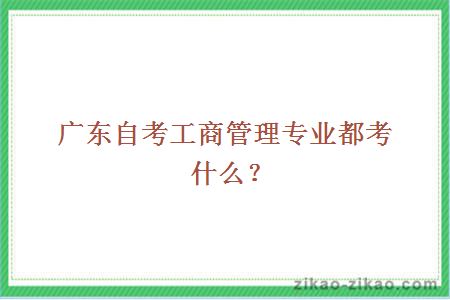广东自考工商管理专业都考什么?