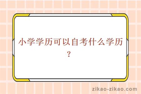 小学学历可以自考什么学历?