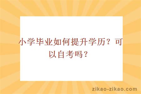 小学毕业如何提升学历？可以自考吗？