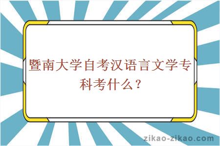 暨南大学自考汉语言文学专科考什么?