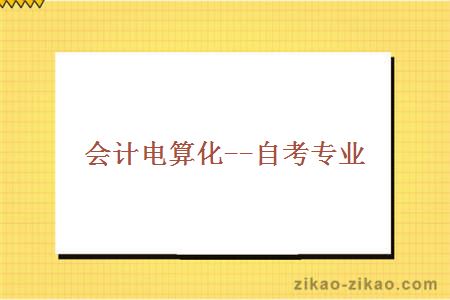 会计电算化--自考专业