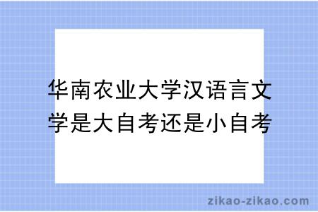 华南农业大学汉语言文学是大自考还是小自考？