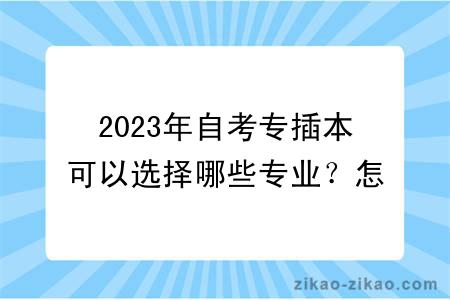 2023年自考专插本可以选择哪些专业?怎么选择专业?