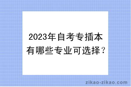 2023年自考专插本有哪些专业可选择?