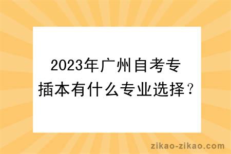 2023年广州自考专插本有什么专业选择？