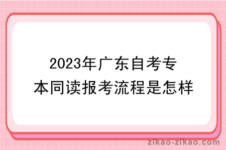 2023年广东自考专本同读报考流程是怎样的?多少钱?