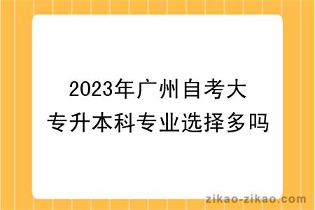 2023年广州自考大专升本科专业选择多吗？有什么学习方式？