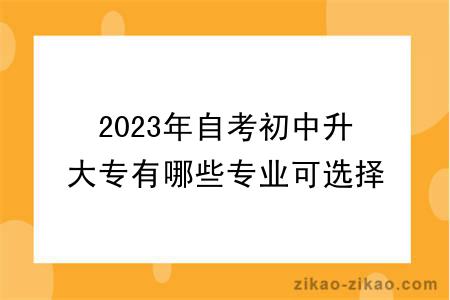 2023年自考初中升大专有哪些专业可选择