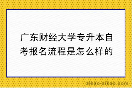 广东财经大学专升本自考报名流程是怎么样的?