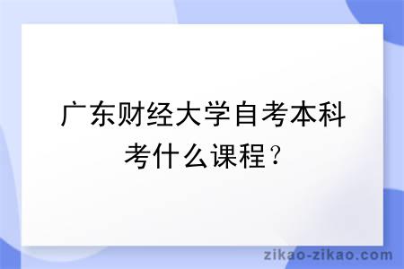 广东财经大学自考本科考什么课程?
