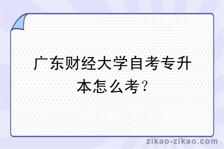 广东财经大学自考专升本怎么考?