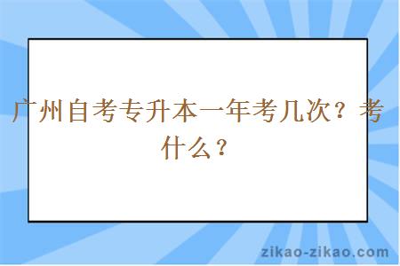 广州自考专升本一年考几次？考什么？