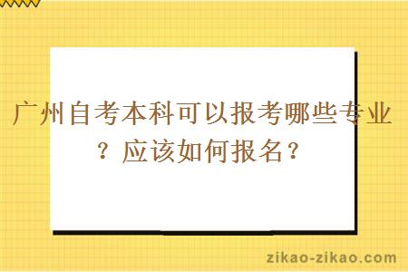 广州自考本科可以报考哪些专业?应该如何报名?